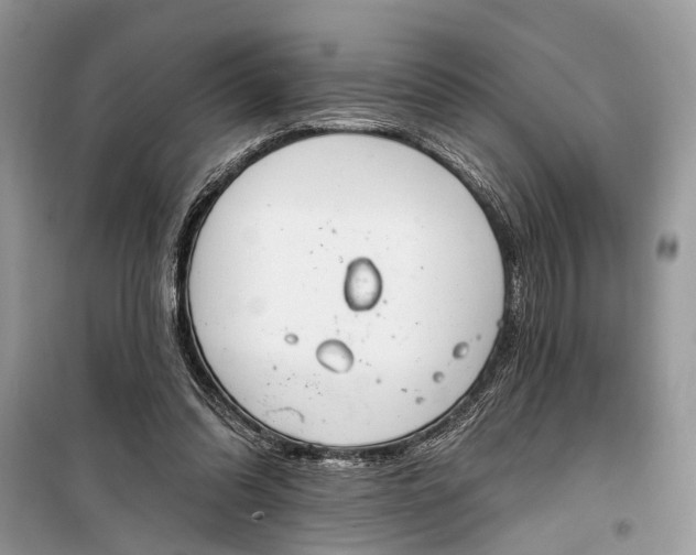 X0000099300302200805161355