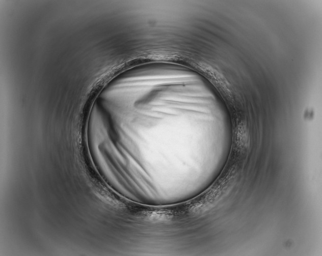 X0000099300303200805161355