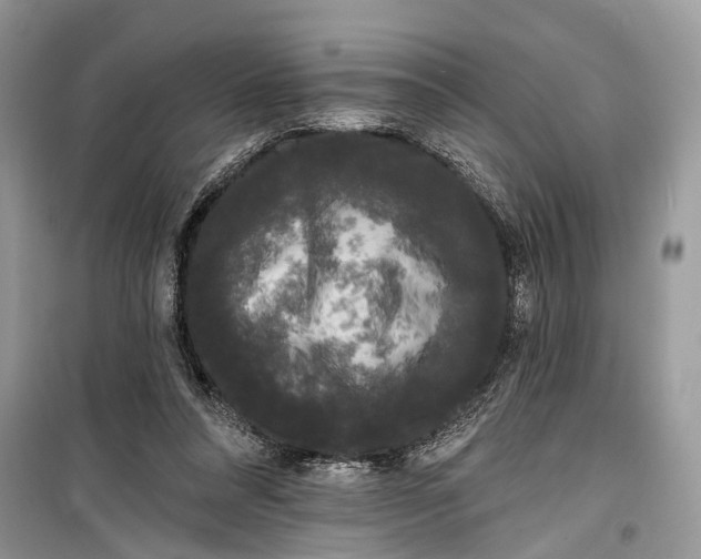 X0000099300304200805161355