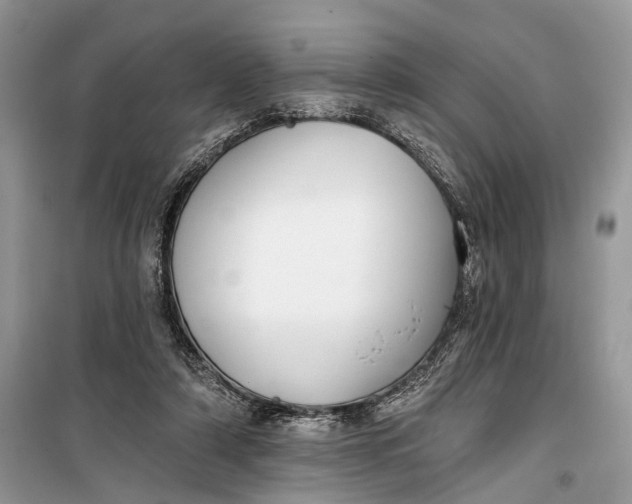 X0000099300306200805161355