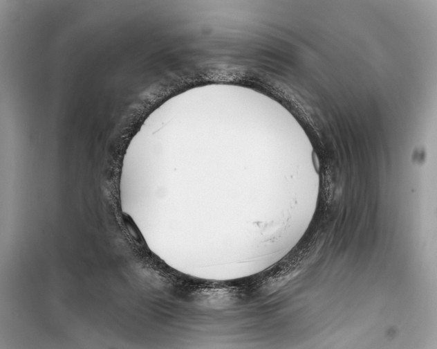 X0000099300307200805161355