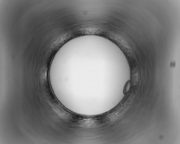 X0000099300310200805161355