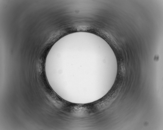 X0000099300311200805161355