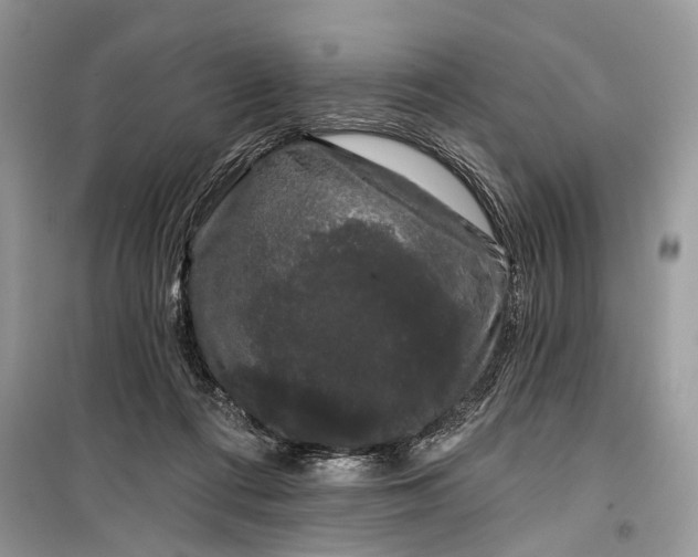 X0000099300312200805161355