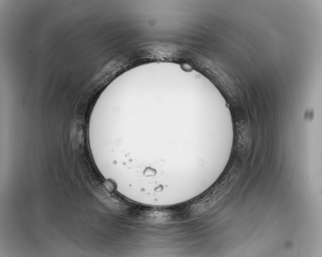 X0000099300313200805161355