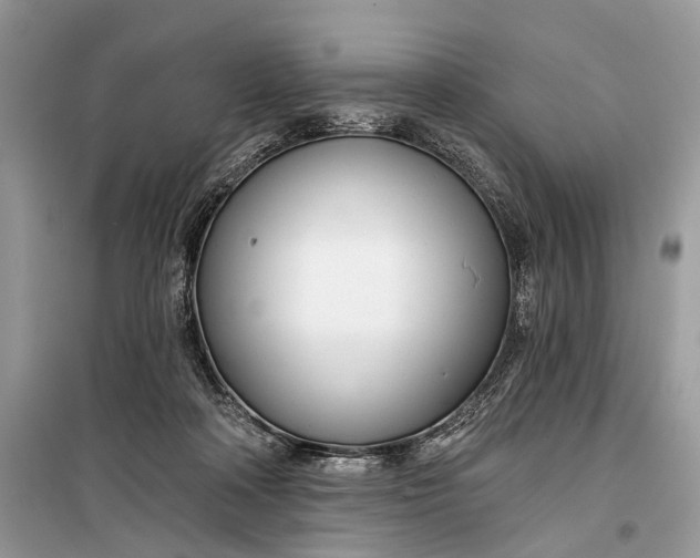 X0000099300314200805161355