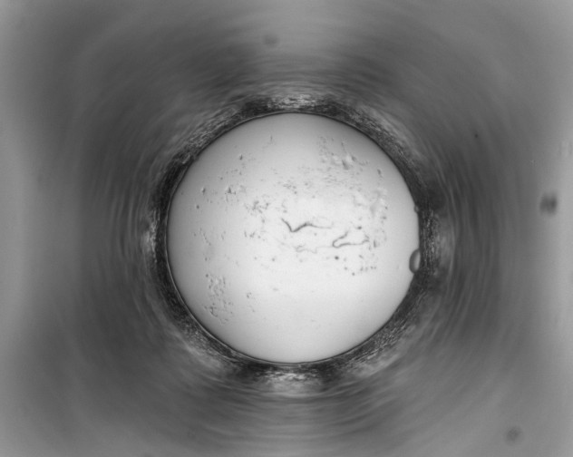 X0000099300315200805161355