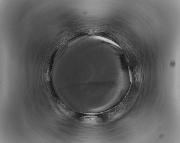 X0000099300316200805161355