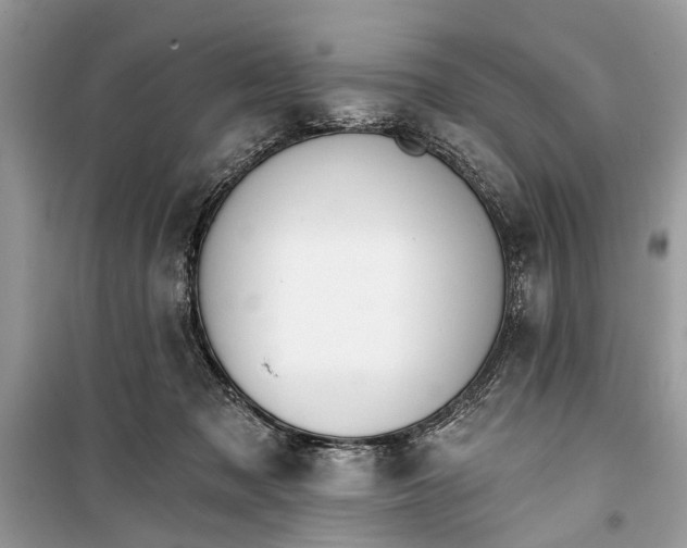 X0000099300317200805161355