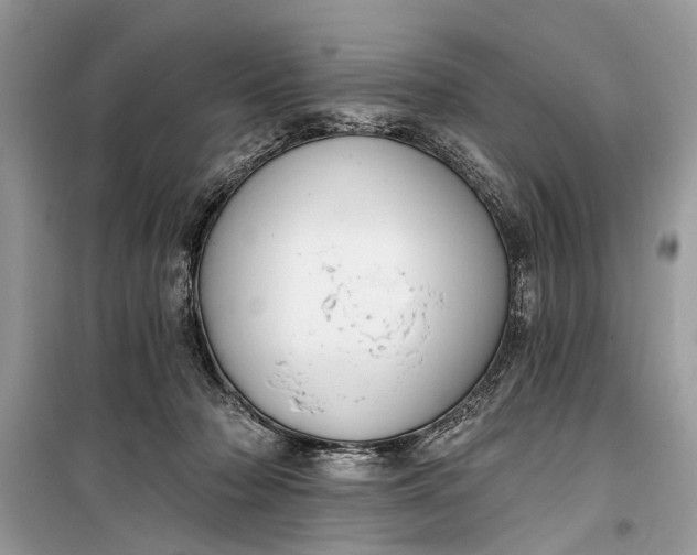 X0000099300318200805161355