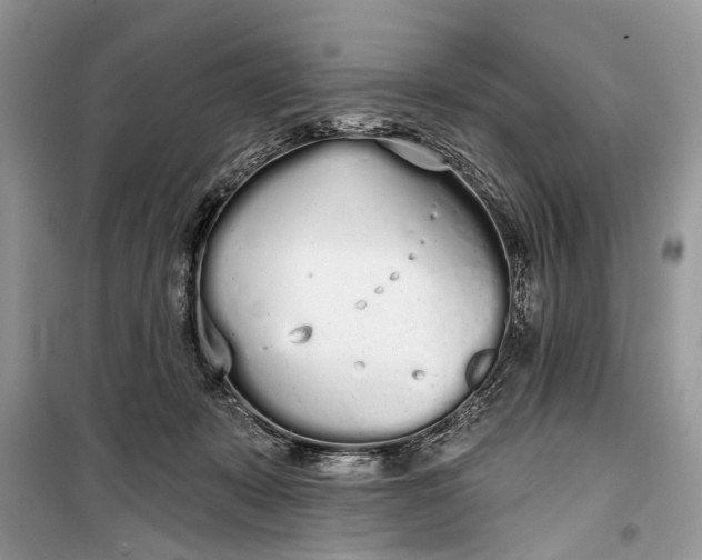 X0000099300319200805161355