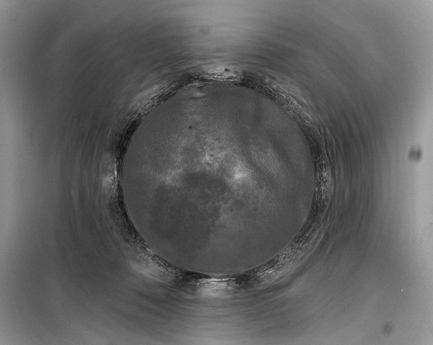 X0000099300320200805161355