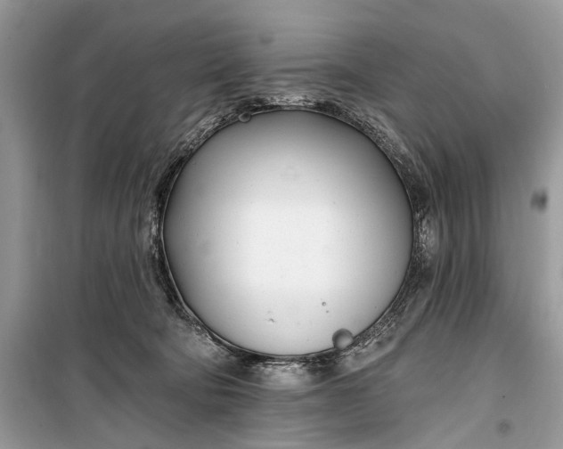 X0000099300322200805161355