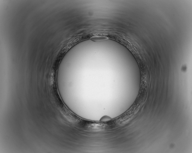 X0000099300323200805161355