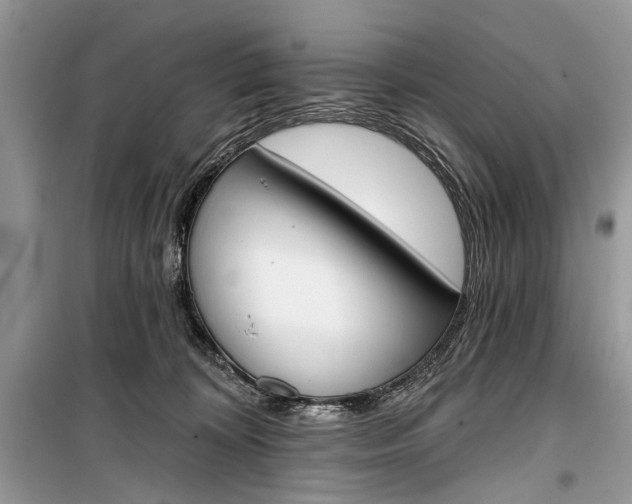 X0000099300324200805161355