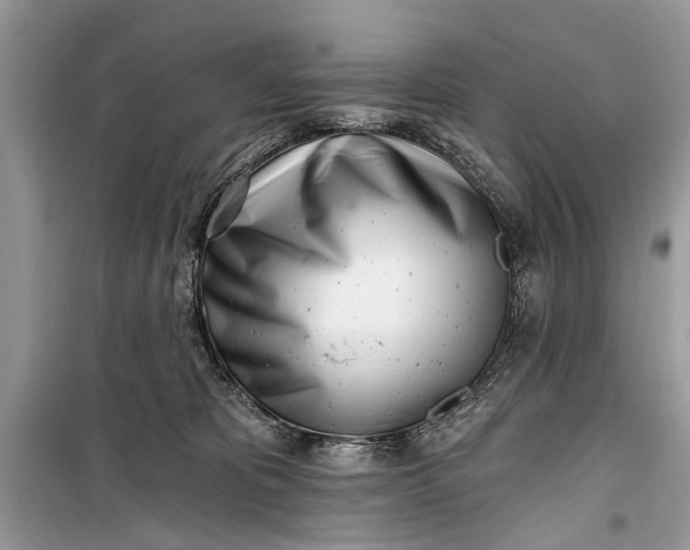 X0000099300325200805161355