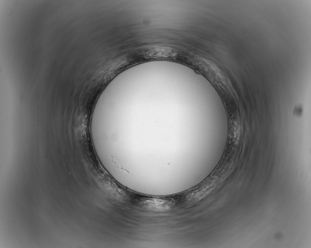 X0000099300326200805161355