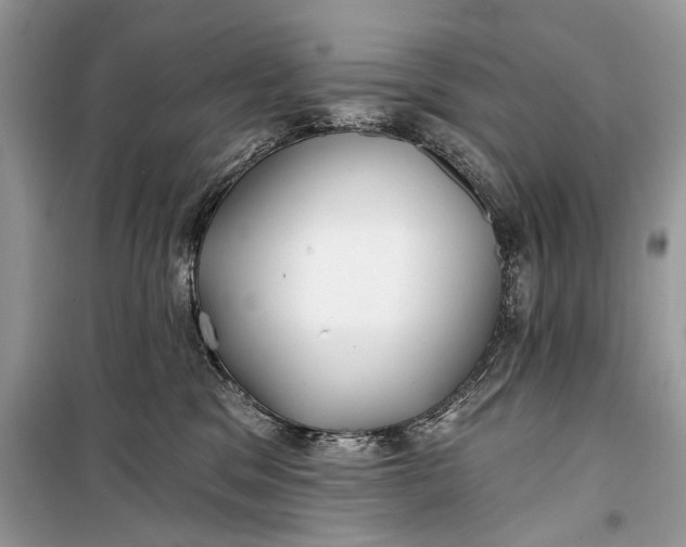 X0000099300329200805161355