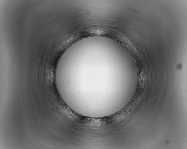 X0000099300330200805161355