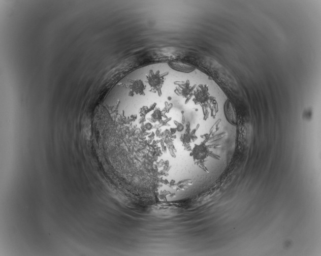 X0000099300331200805161355