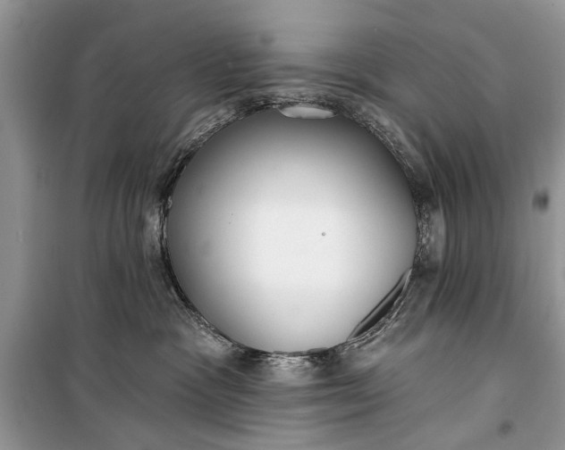 X0000099300333200805161355