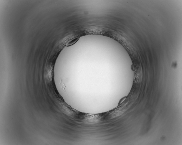 X0000099300334200805161355