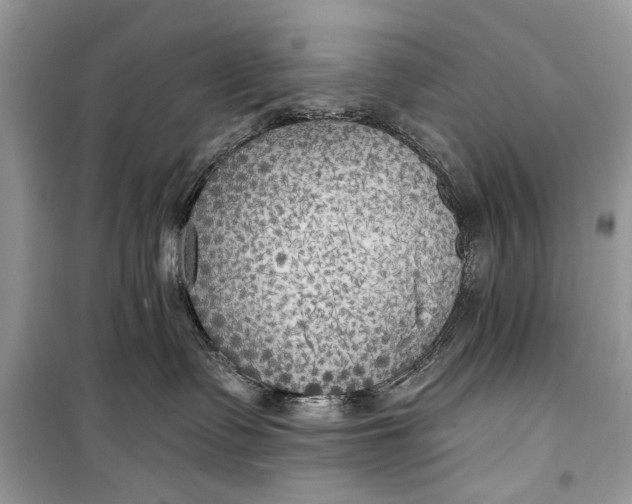 X0000099300335200805161354