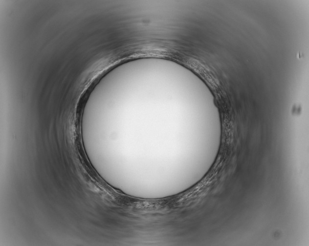 X0000099300338200805161354