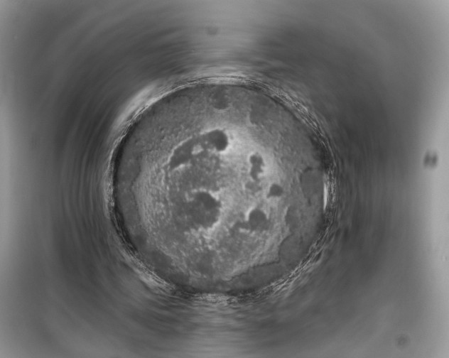 X0000099300339200805161354