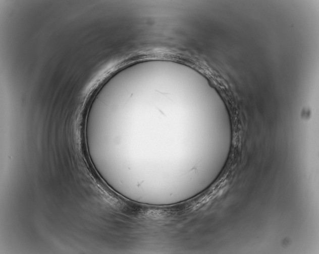 X0000099300341200805161354