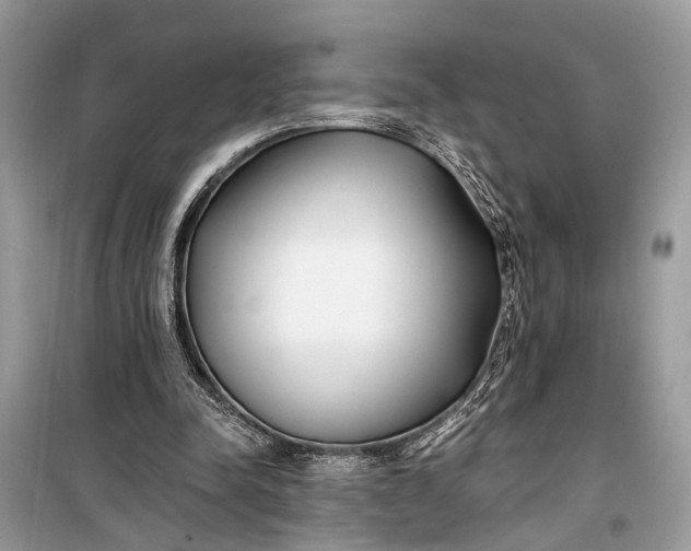 X0000099300342200805161354