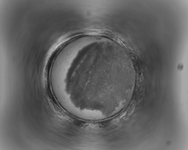 X0000099300343200805161354