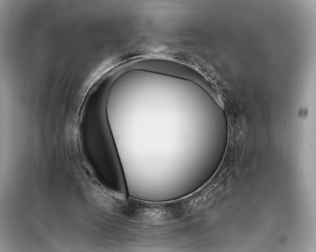 X0000099300344200805161354