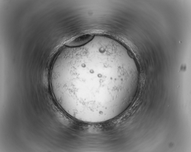 X0000099300345200805161354