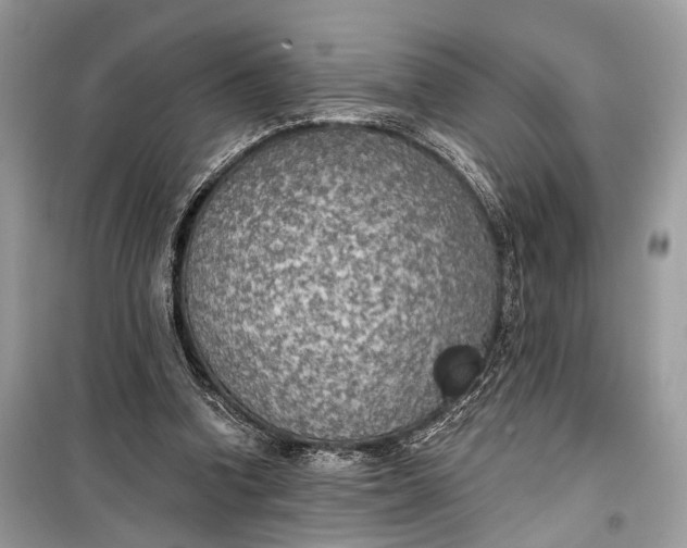 X0000099300346200805161354