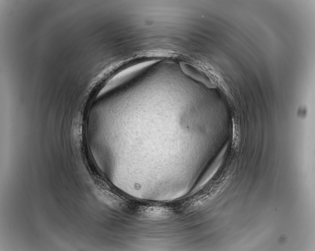 X0000099300348200805161354