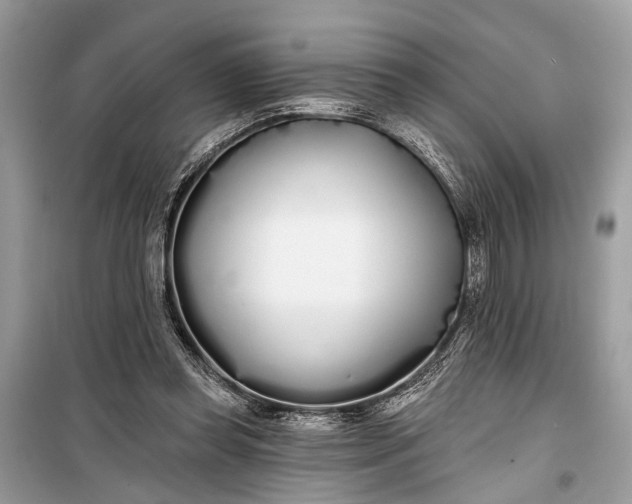 X0000099300349200805161354