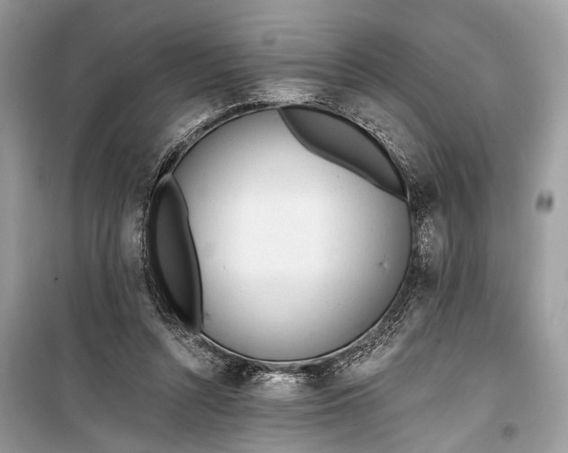 X0000099300352200805161354