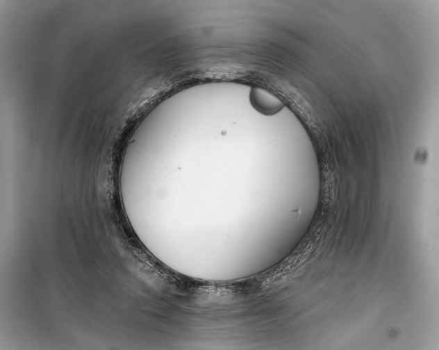 X0000099300354200805161354