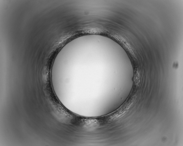 X0000099300355200805161354