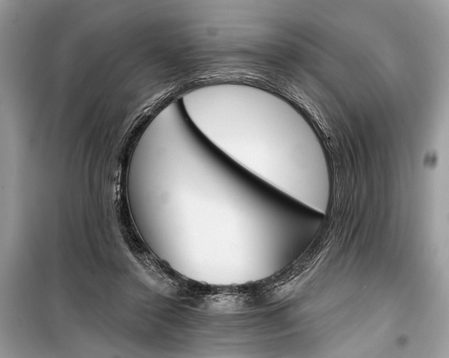 X0000099300356200805161354