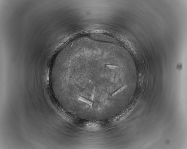 X0000099300358200805161354