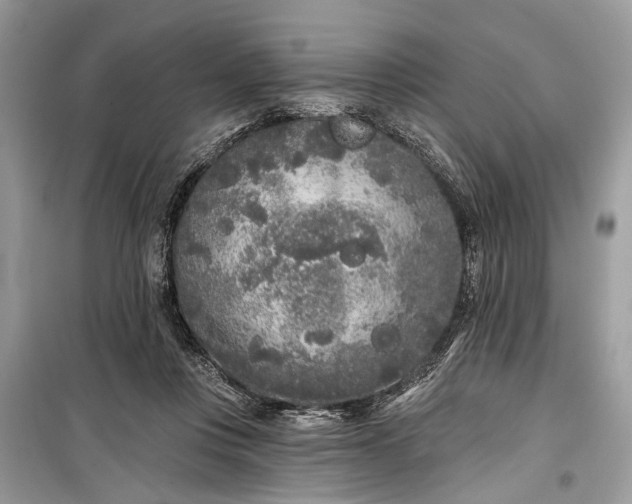 X0000099300359200805161354