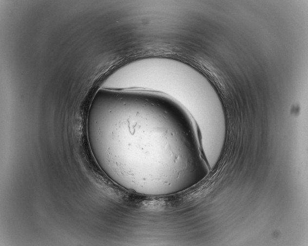 X0000099300362200805161354