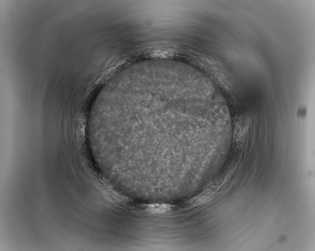 X0000099300363200805161354