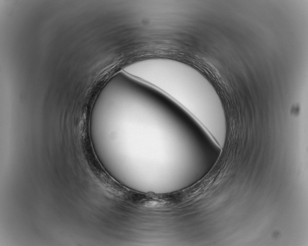 X0000099300364200805161354