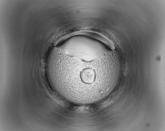 X0000099300366200805161354