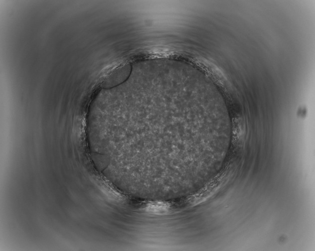 X0000099300369200805161354