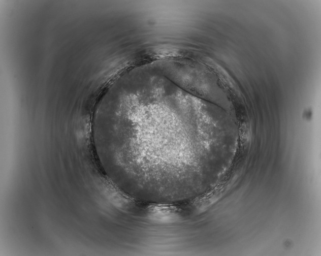 X0000099300372200805161354