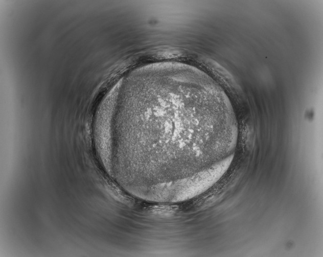 X0000099300373200805161354